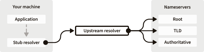 DNS